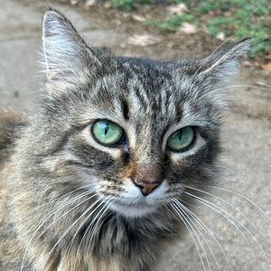 Meet your Posher, Chelsea